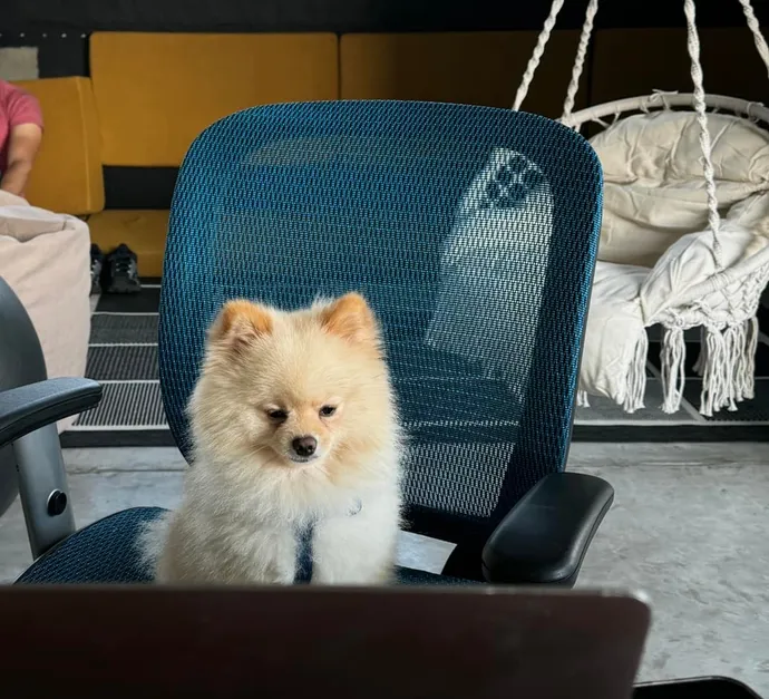 A person sitting on a bean bag chair while working on a laptop in a relaxed environment.